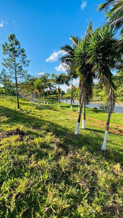 Fazenda, 286 hectares - Foto 9