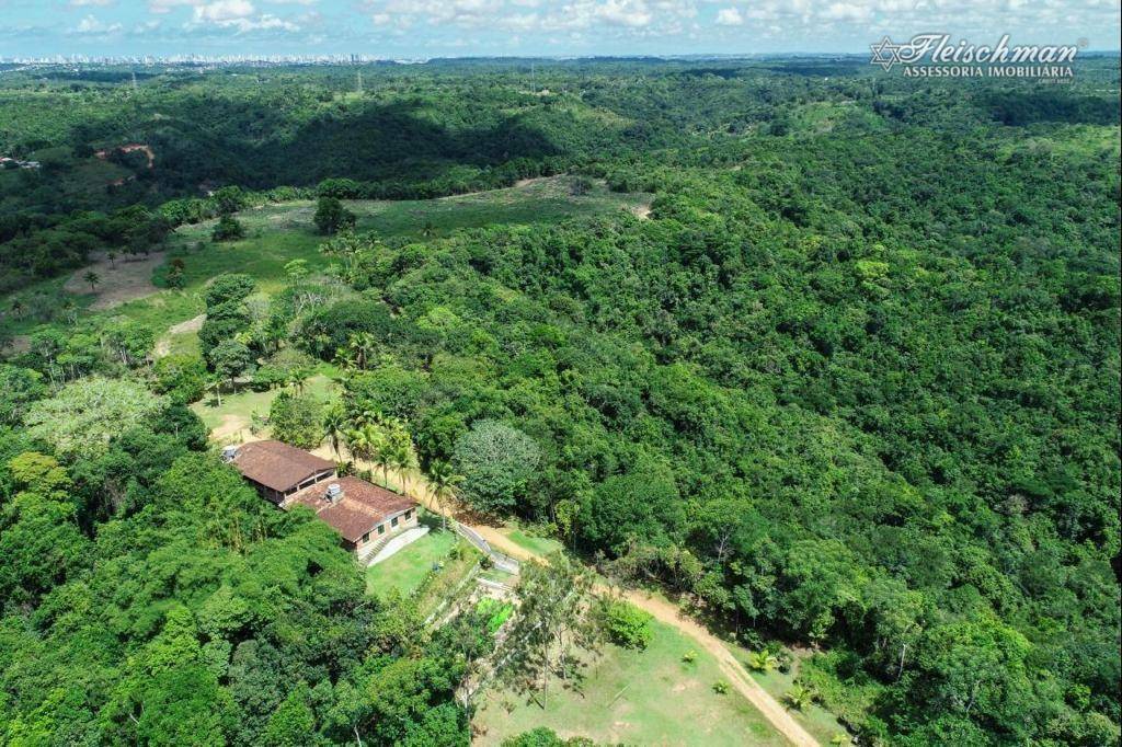 Chácara à venda com 9 quartos, 440000M2 - Foto 11