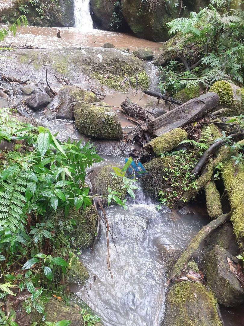 Terreno à venda, 7200M2 - Foto 3