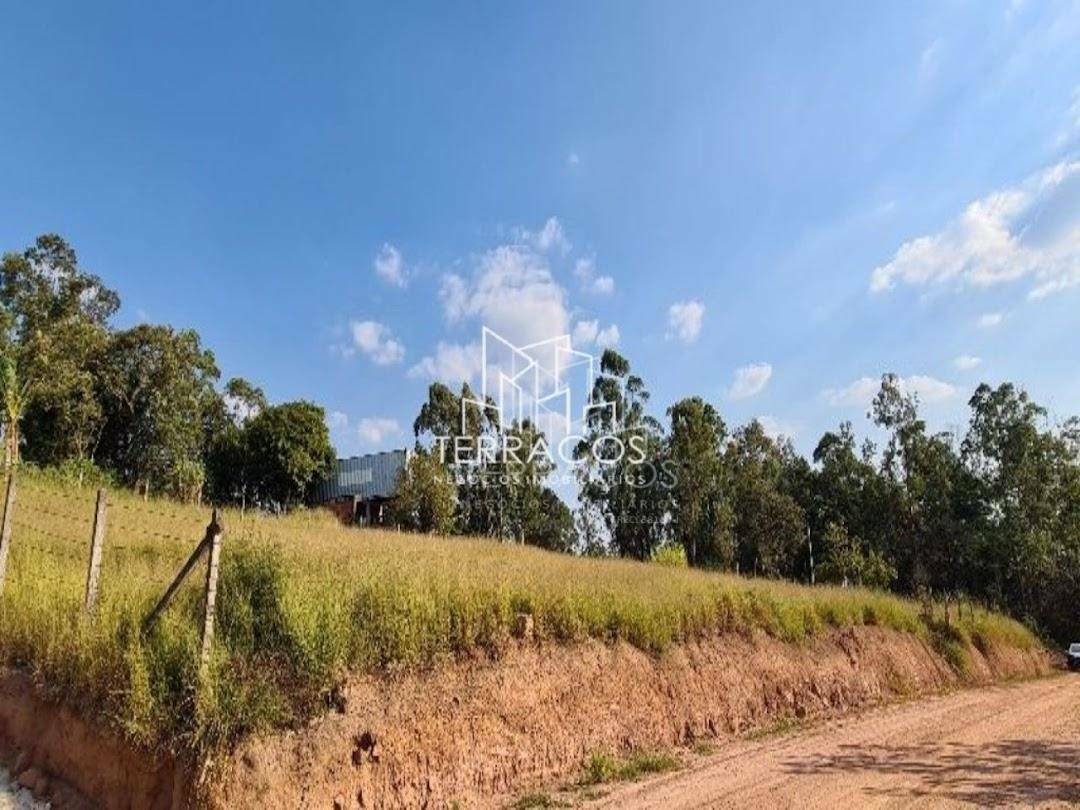 Terreno, 2462 m² - Foto 3