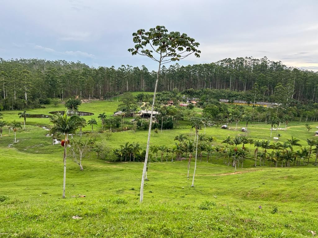 Fazenda à venda, 660000m² - Foto 6
