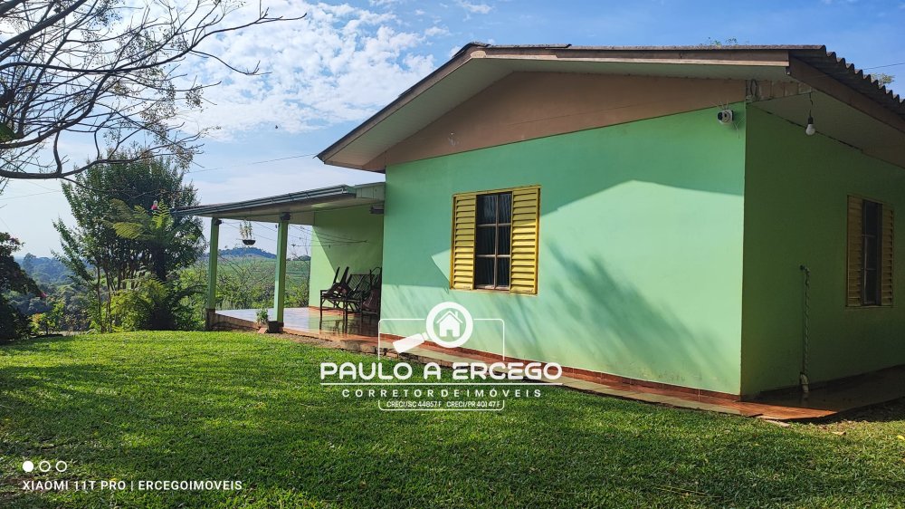 Sítio, 41 hectares - Foto 5