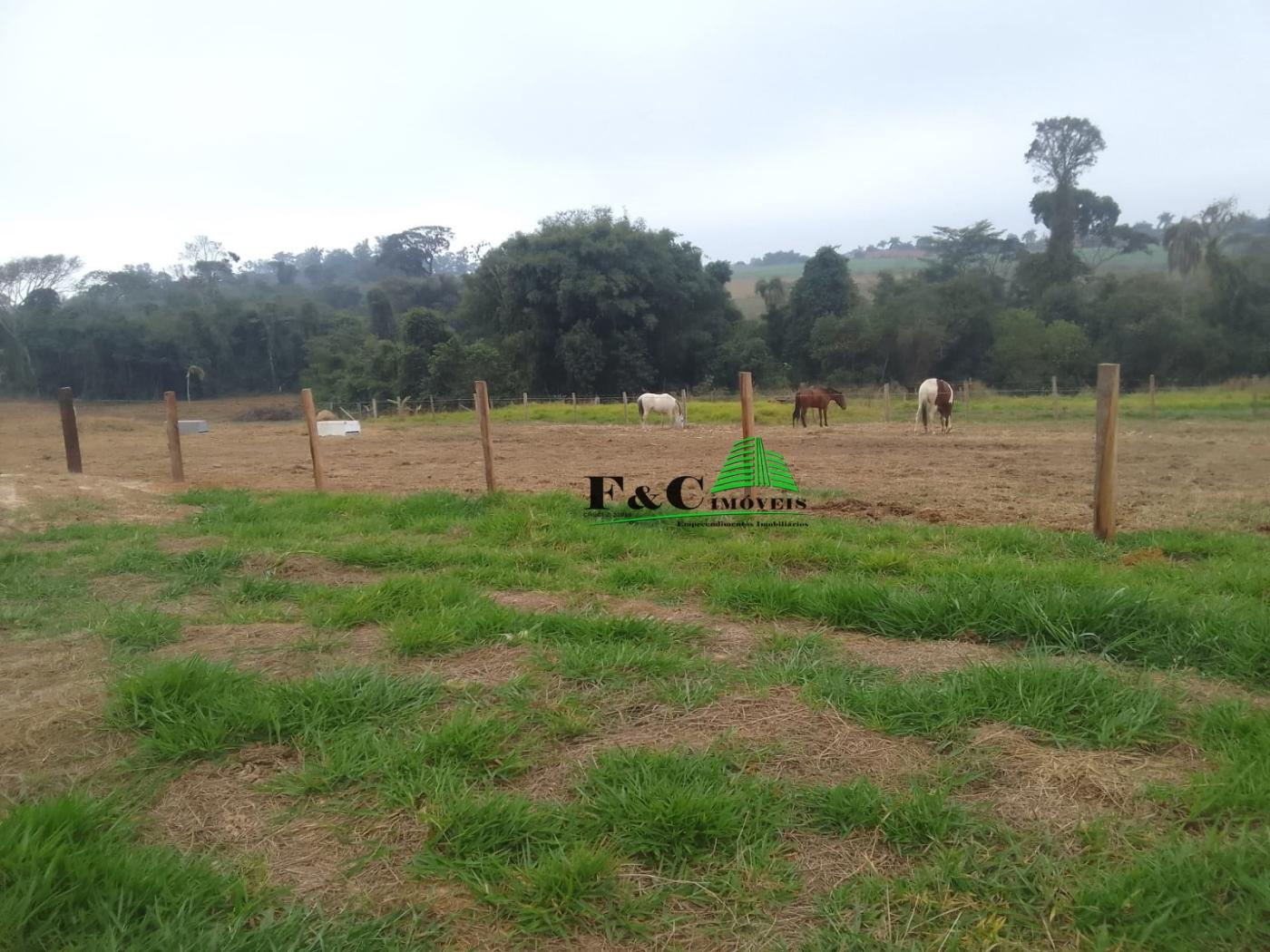 Terreno à venda, 1000m² - Foto 3