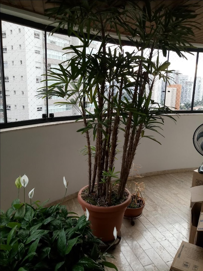 Apartamento à venda e aluguel com 4 quartos, 243m² - Foto 5