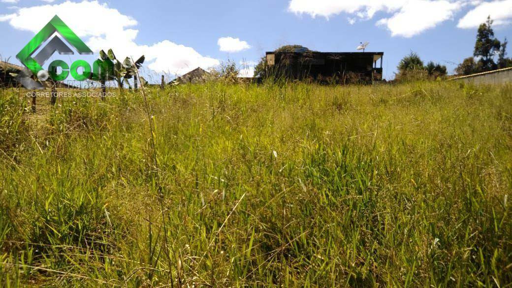 Terreno à venda, 1000M2 - Foto 5