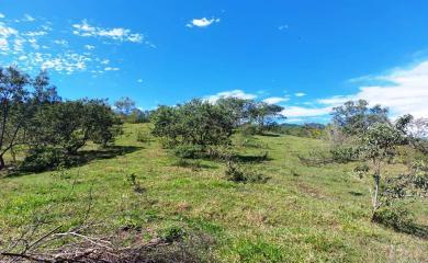 Fazenda à venda com 3 quartos, 200000m² - Foto 11