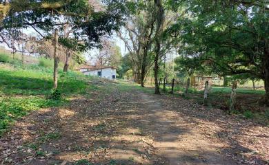 Fazenda à venda com 4 quartos, 50000m² - Foto 18