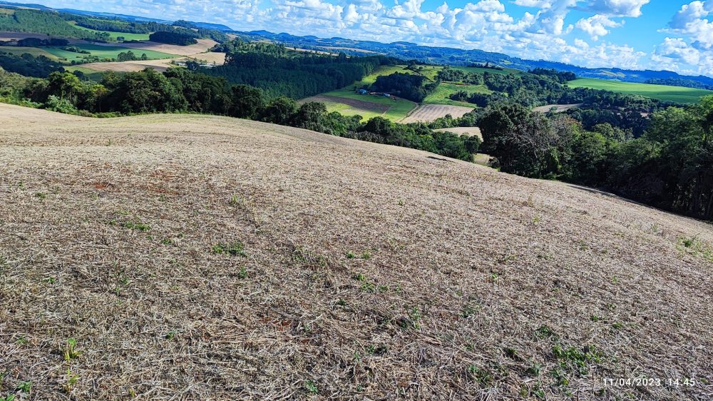 Fazenda à venda, 9m² - Foto 7