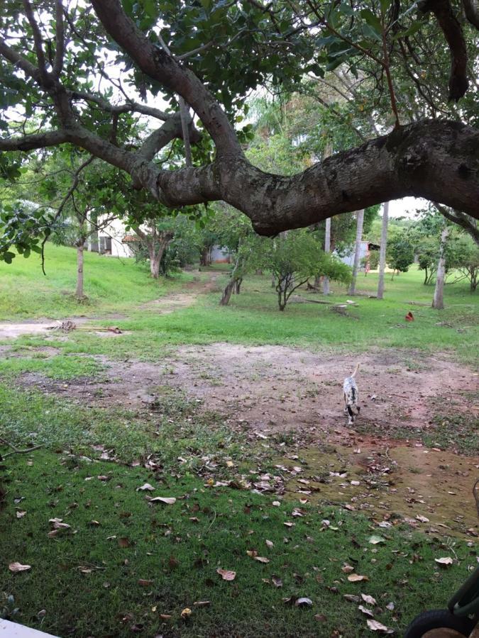 Fazenda à venda com 8 quartos, 400m² - Foto 21