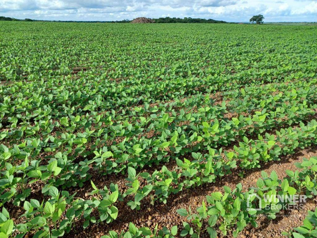 Fazenda à venda, 31060000M2 - Foto 9