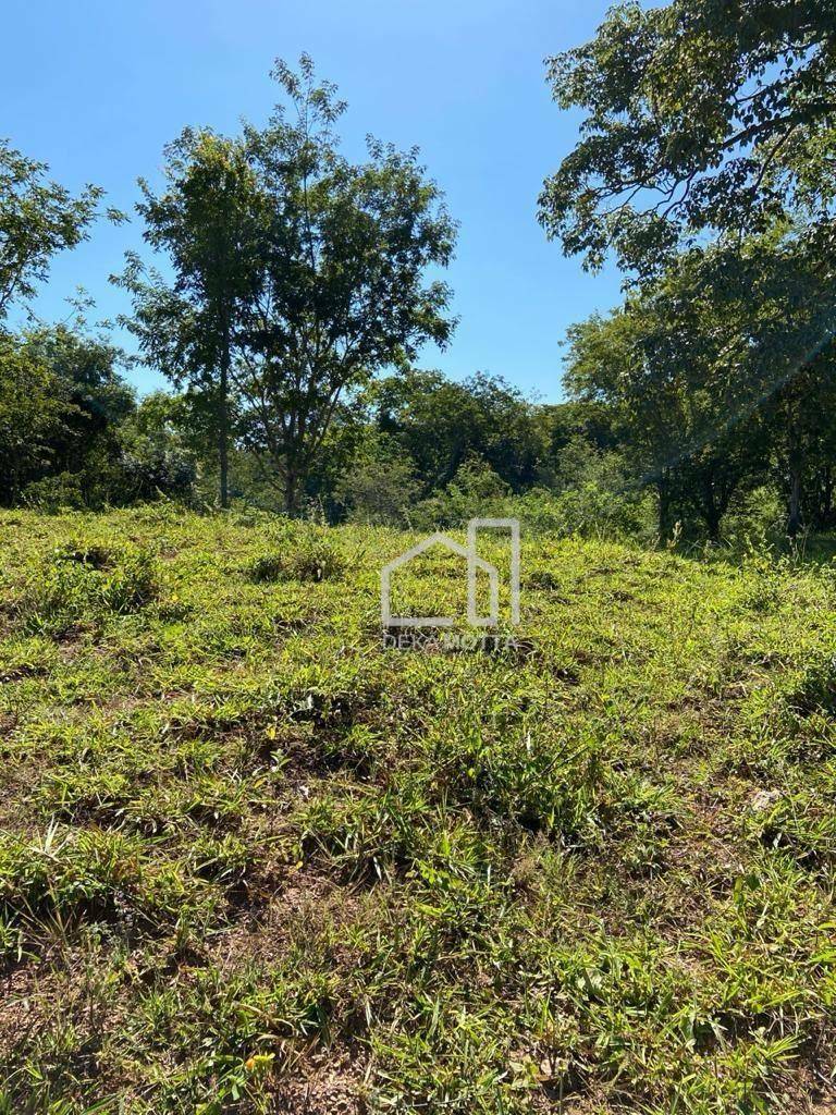 Fazenda à venda com 3 quartos, 21217700000M2 - Foto 36