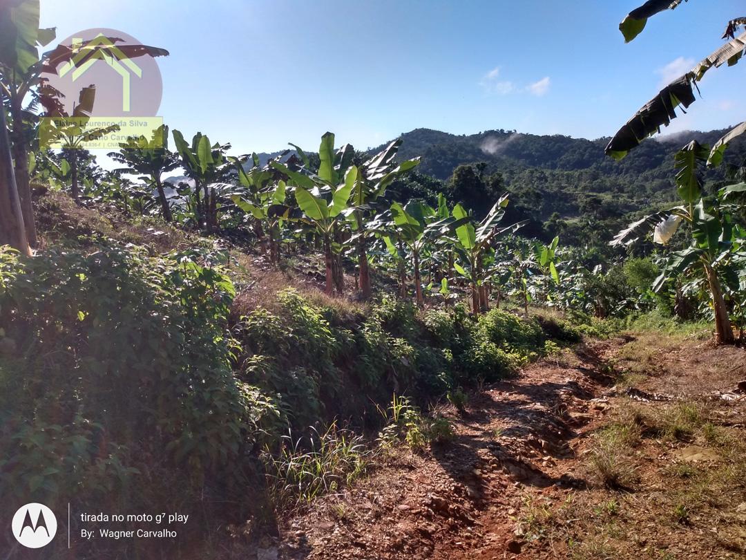 Fazenda à venda com 2 quartos, 8m² - Foto 16