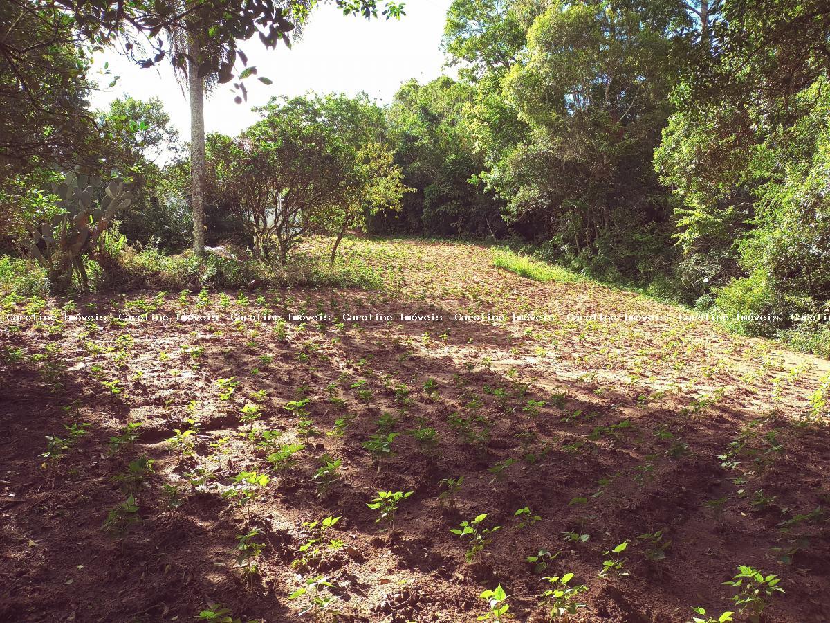 Fazenda à venda, 250000m² - Foto 5