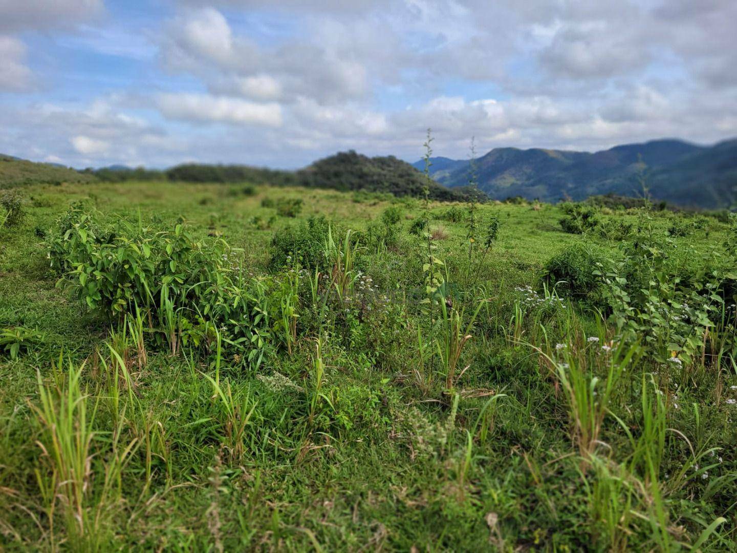 Fazenda à venda, 1292280M2 - Foto 13