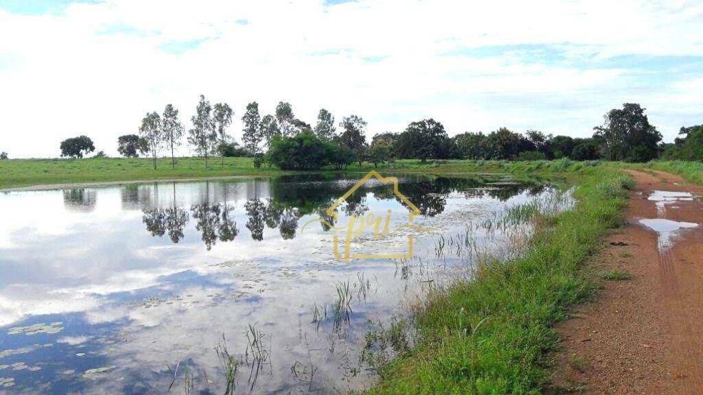 Fazenda-Sítio-Chácara, 374 hectares - Foto 3