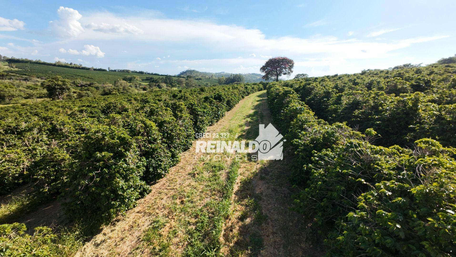 Fazenda à venda com 9 quartos, 5000m² - Foto 24