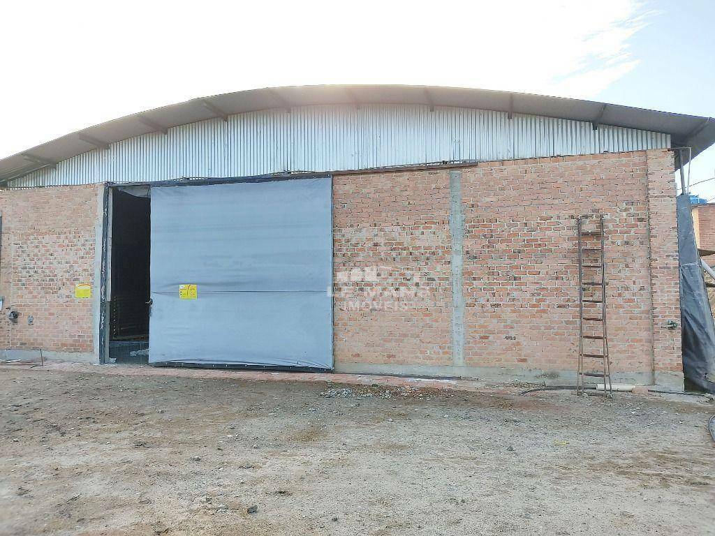 Sítio à venda com 3 quartos, 600m² - Foto 10