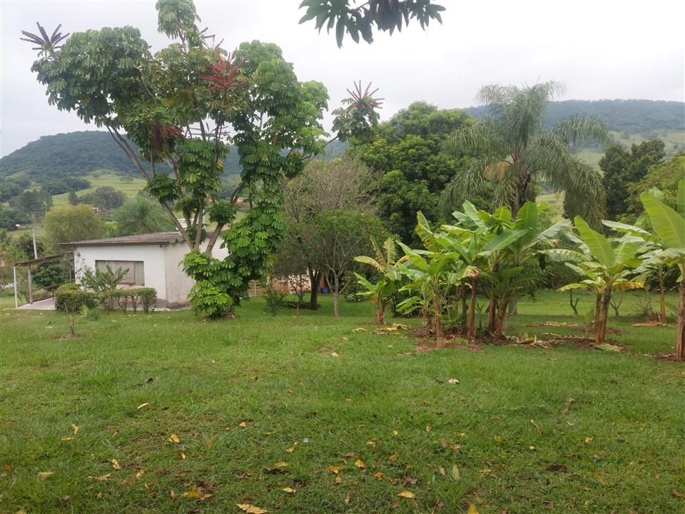 Fazenda à venda com 4 quartos, 5850m² - Foto 5