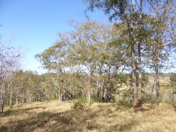 Fazenda à venda - Foto 11