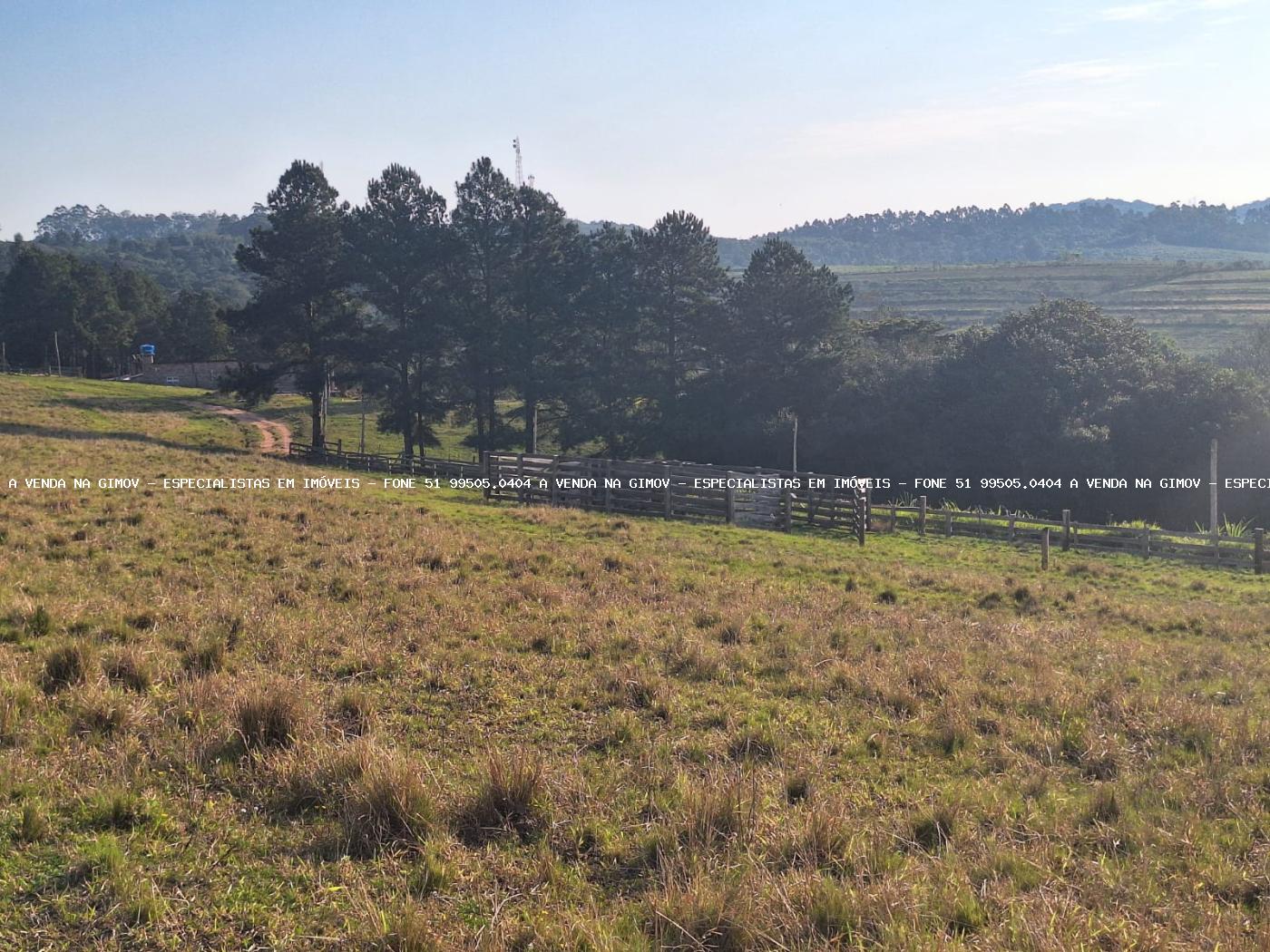 Fazenda à venda com 4 quartos, 80000m² - Foto 37