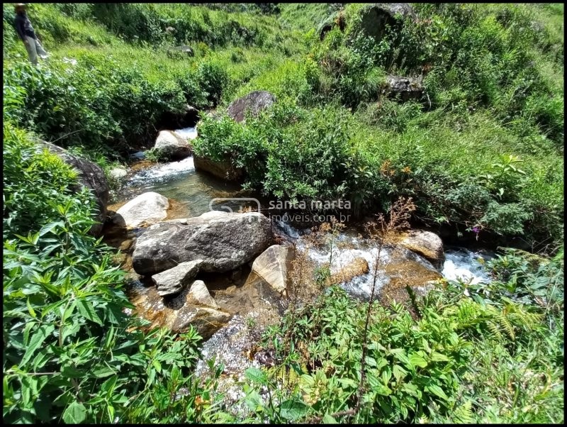 Fazenda-Sítio-Chácara, 81 hectares - Foto 4