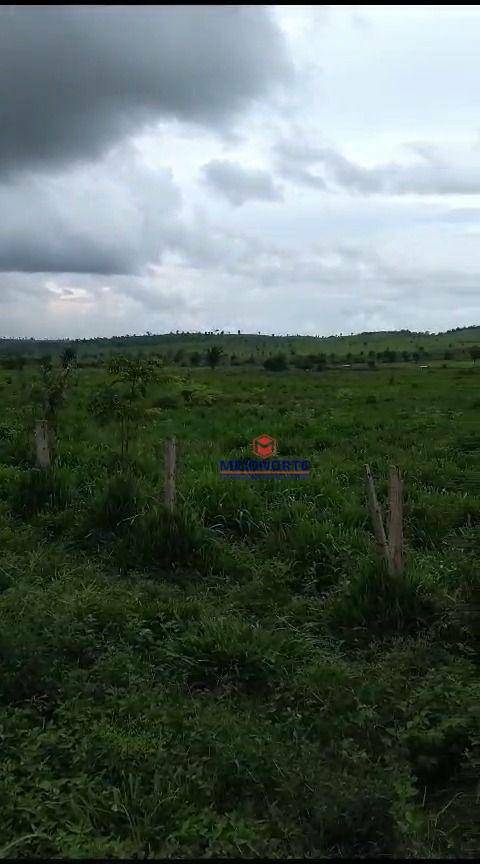 Fazenda à venda com 1 quarto, 10000M2 - Foto 9