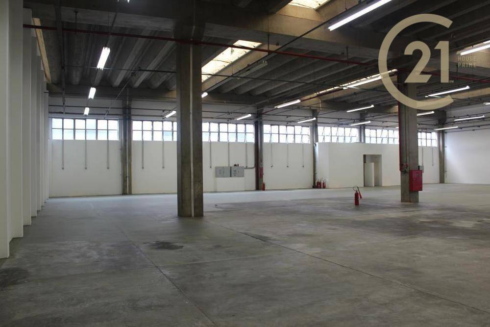 Depósito-Galpão-Armazém para alugar, 6000m² - Foto 5