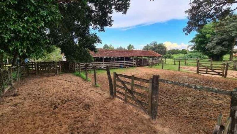 Fazenda-Sítio-Chácara, 726 m² - Foto 9