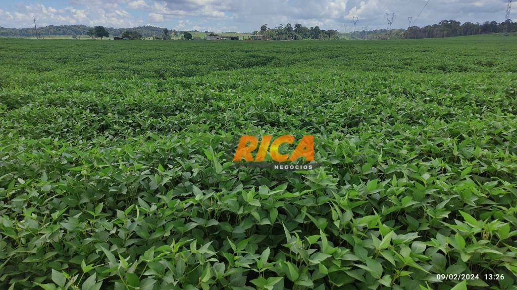 Fazenda-Sítio-Chácara, 1178 hectares - Foto 5