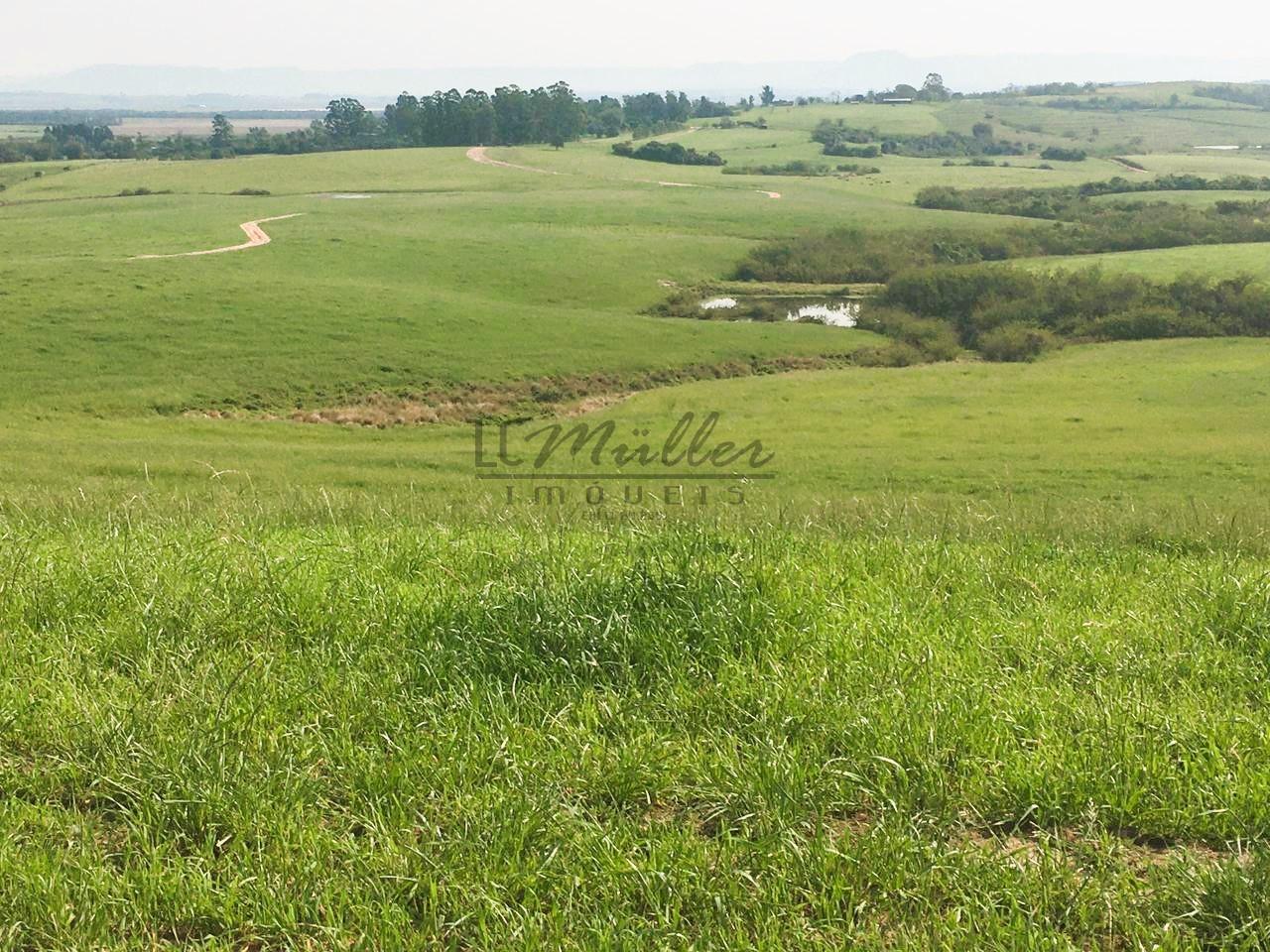 Fazenda à venda, 188m² - Foto 6