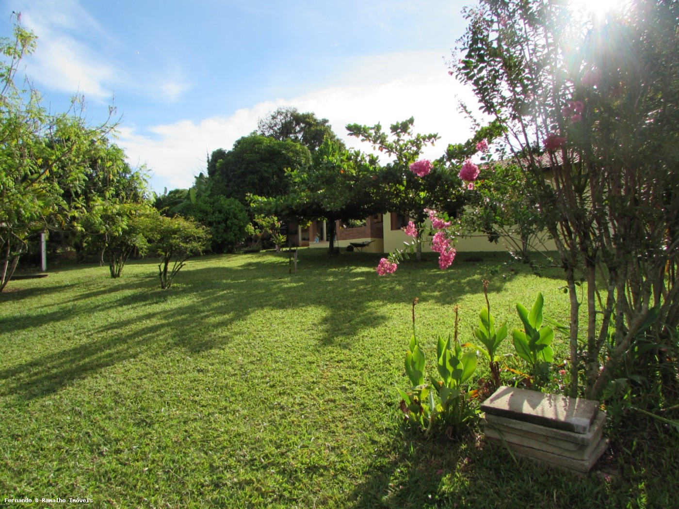 Chácara à venda com 6 quartos, 6000m² - Foto 3