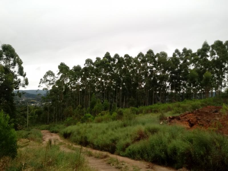 Fazenda à venda, 5000m² - Foto 15