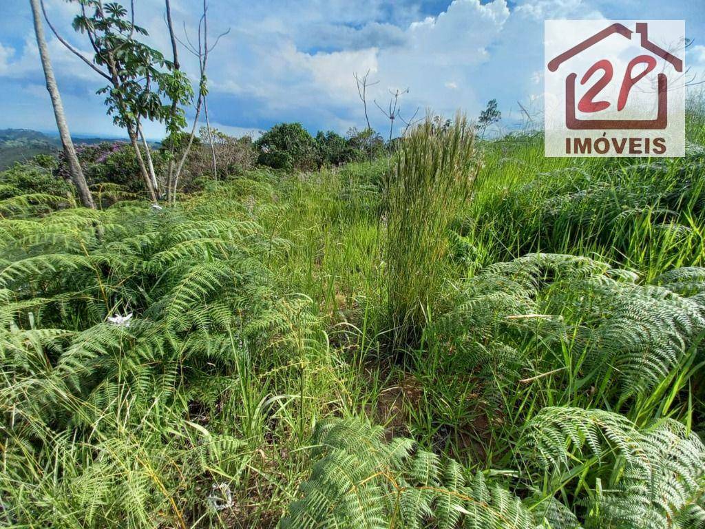 Terreno à venda, 10000M2 - Foto 13