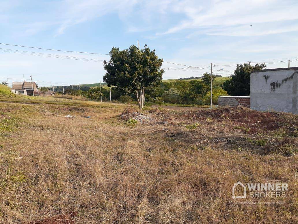 Terreno, 276 m² - Foto 2