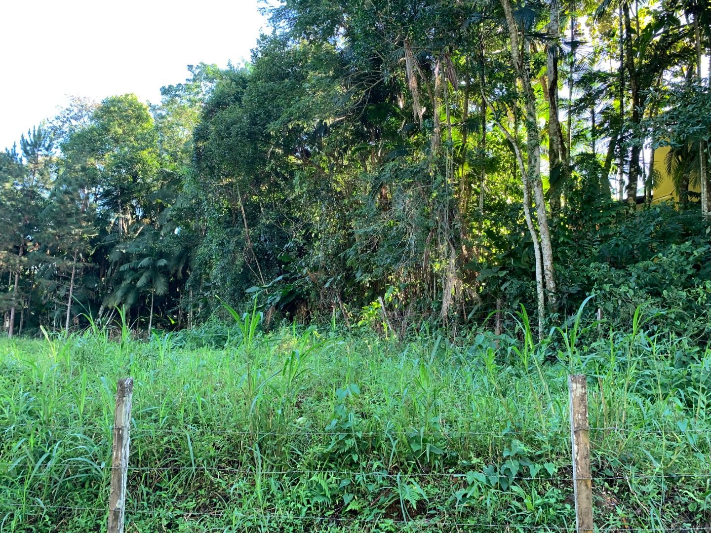 Terreno à venda, 451M2 - Foto 3