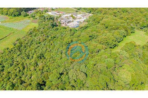 Terreno, 5 hectares - Foto 7