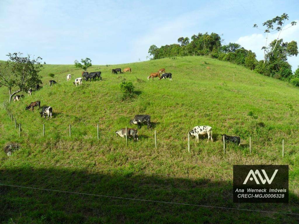 Chácara à venda com 5 quartos, 170000M2 - Foto 3