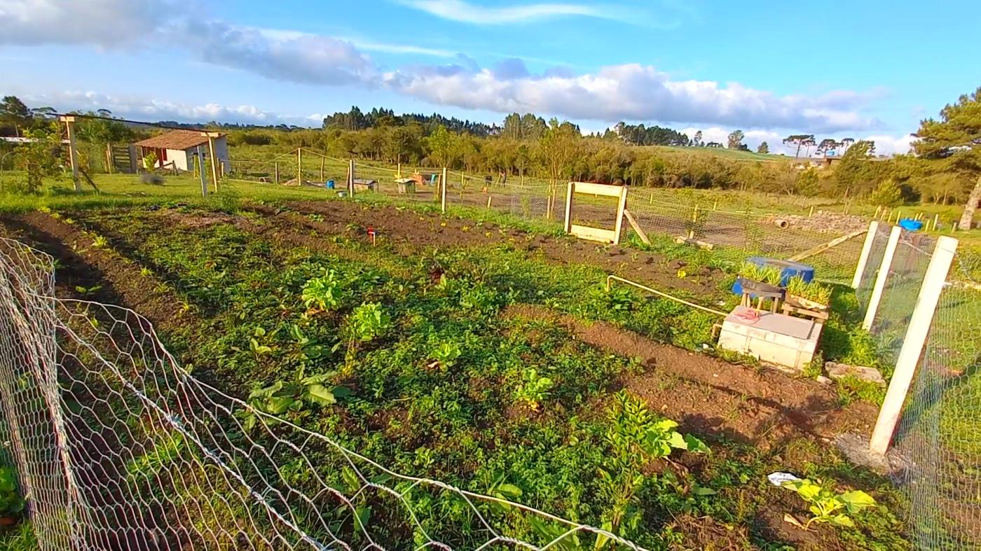 Fazenda à venda, 32800m² - Foto 9