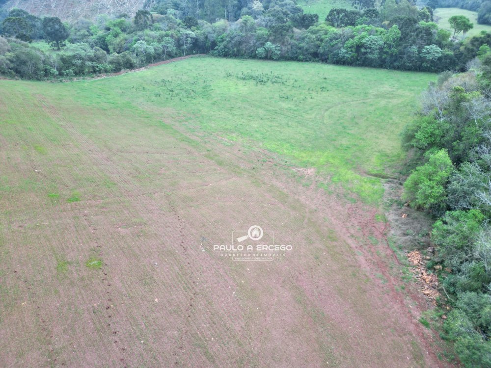 Sítio, 6 hectares - Foto 9