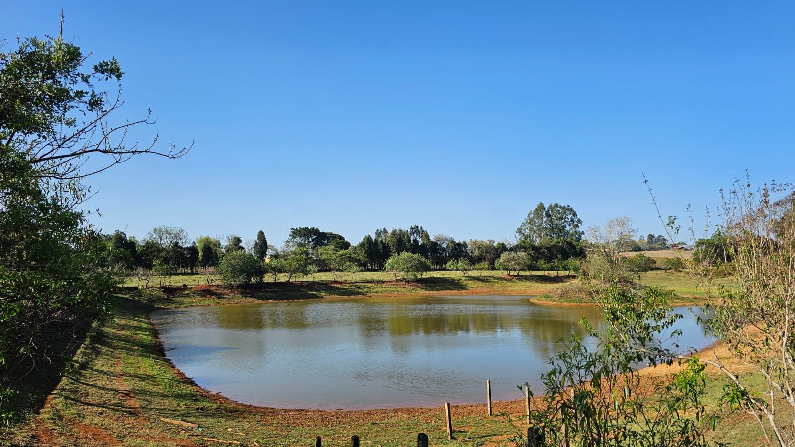 Haras e Área Rural Padrão à venda com 3 quartos, 96800M2 - Foto 29