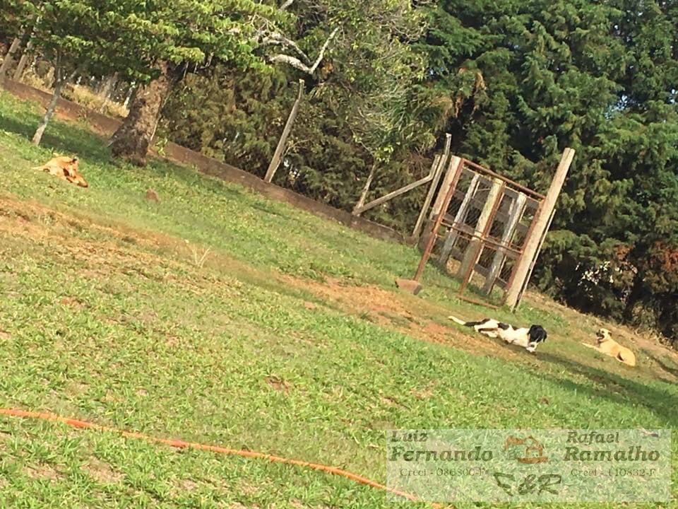 Fazenda à venda com 2 quartos, 20000m² - Foto 25