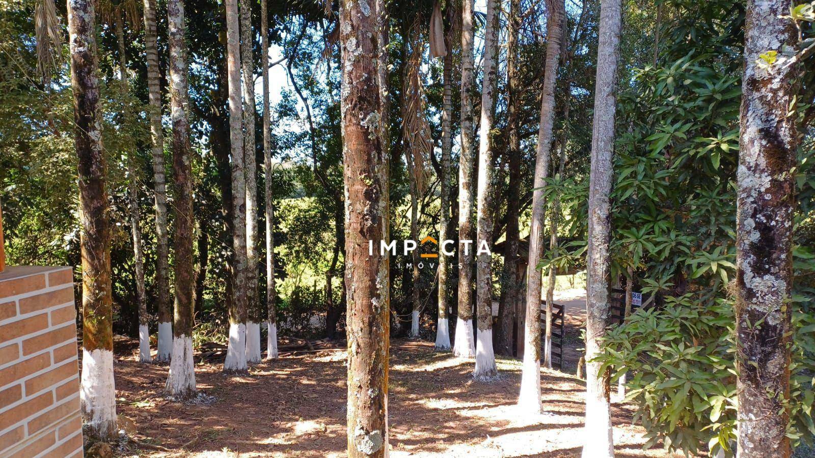 Chácara à venda com 2 quartos, 10500M2 - Foto 17