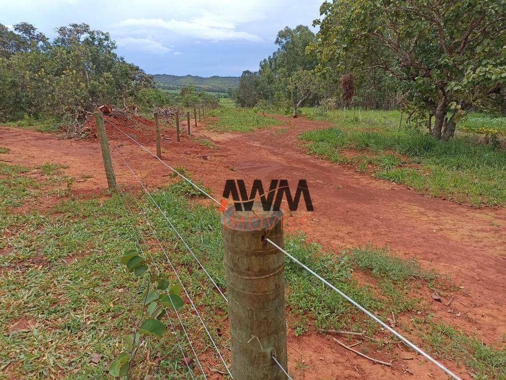 Fazenda à venda, 3963960M2 - Foto 12