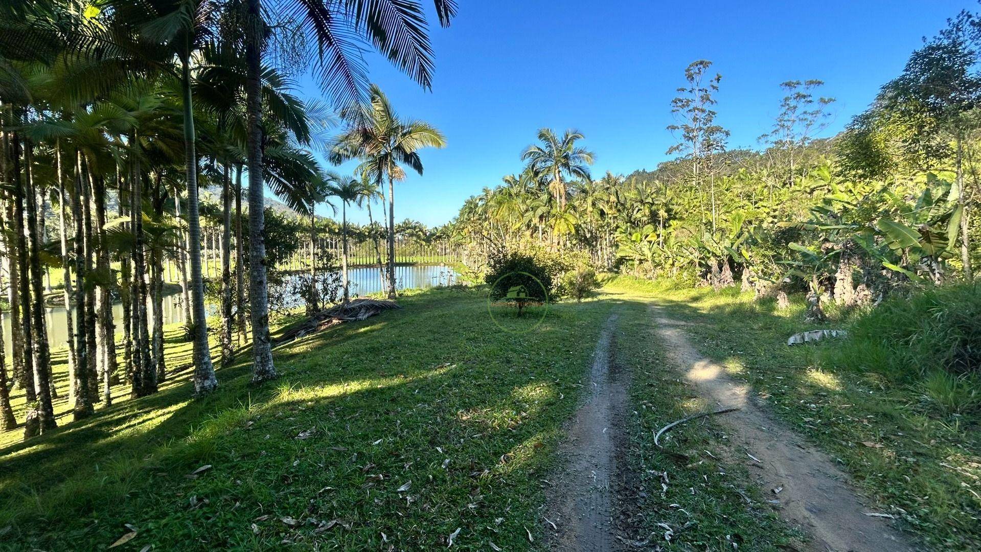 Sítio, 19 hectares - Foto 40