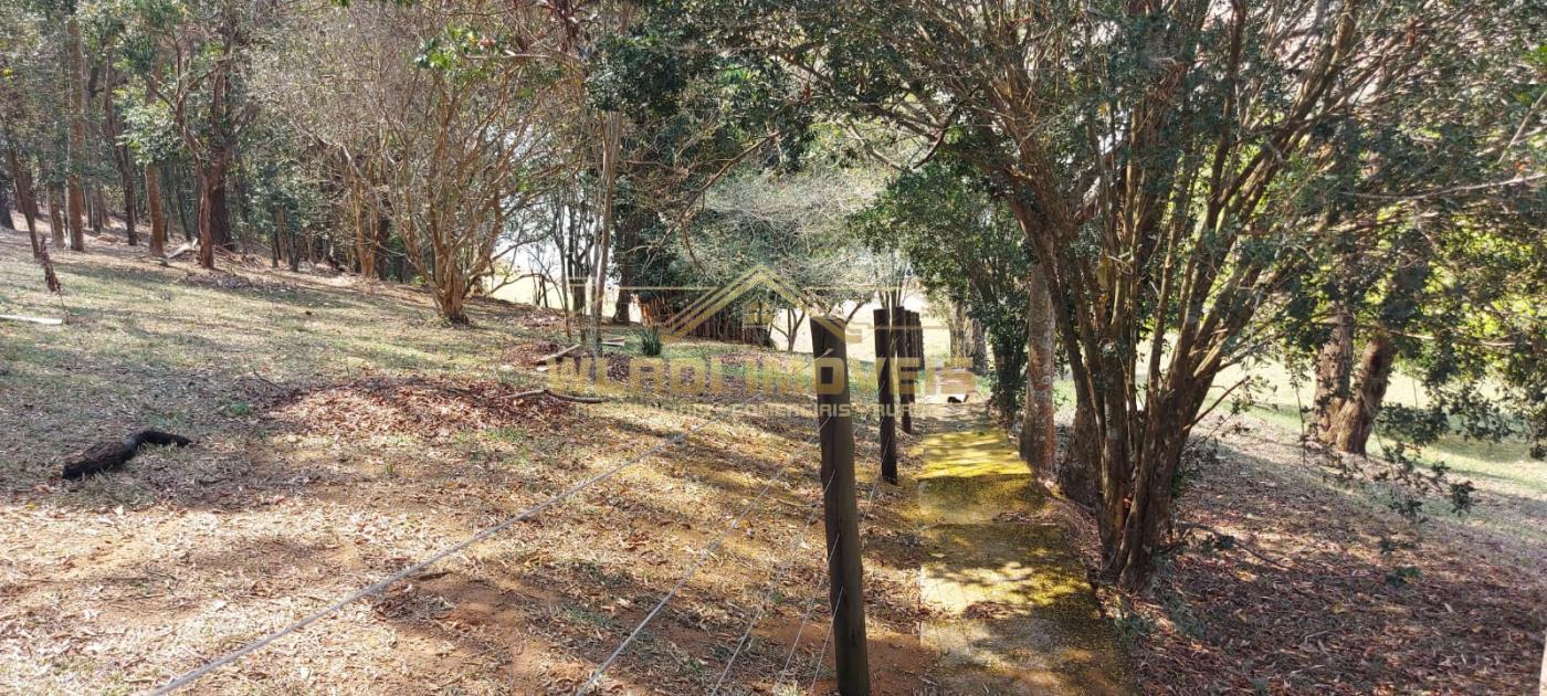 Fazenda à venda com 5 quartos, 24200m² - Foto 23