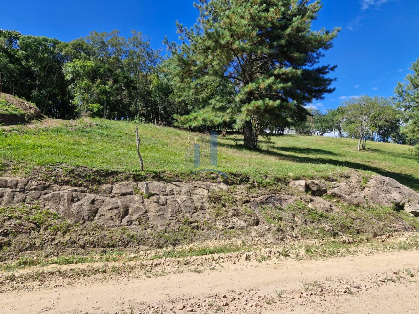 Terreno à venda, 1000m² - Foto 3
