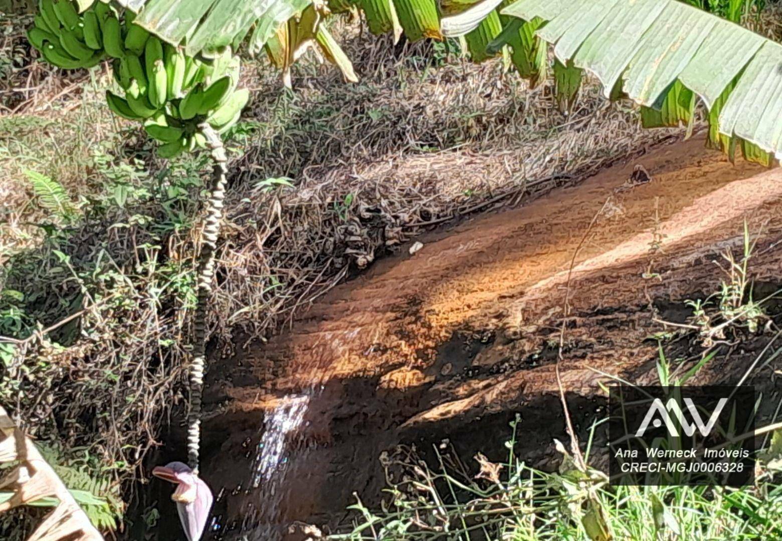 Chácara à venda com 2 quartos, 100m² - Foto 11