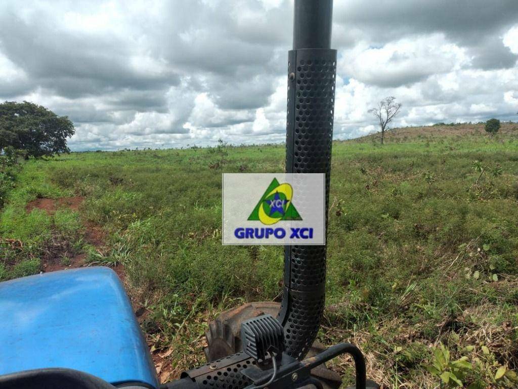 Fazenda-Sítio-Chácara, 785 hectares - Foto 4