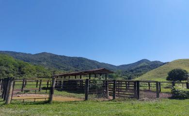 Fazenda à venda com 3 quartos, 232m² - Foto 9