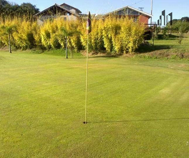 Terreno, 5000 m² - Foto 5